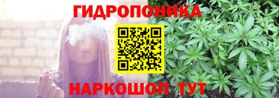 гидропоника Пенза