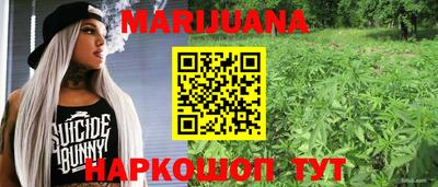 гидропоника Пенза