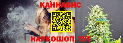 гидропоника Пенза