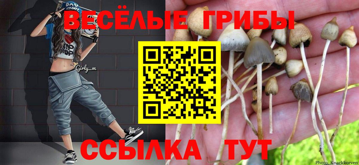 Галлюциногенные грибы прущие грибы  Вход с VPN  Тайшет 